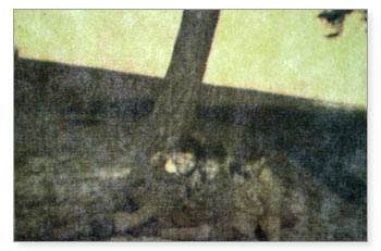 Bronek, Milek, Joseph in Rozwadow, 1927